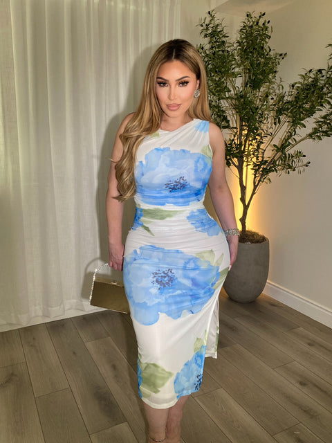 Peony Blue Ivory Dress