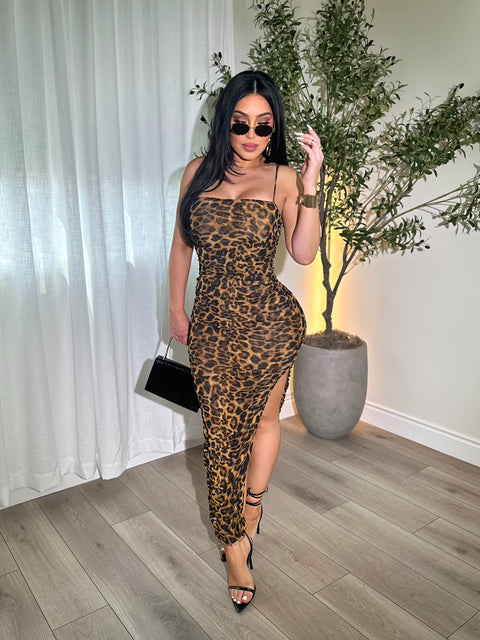 Slaycat Maxi