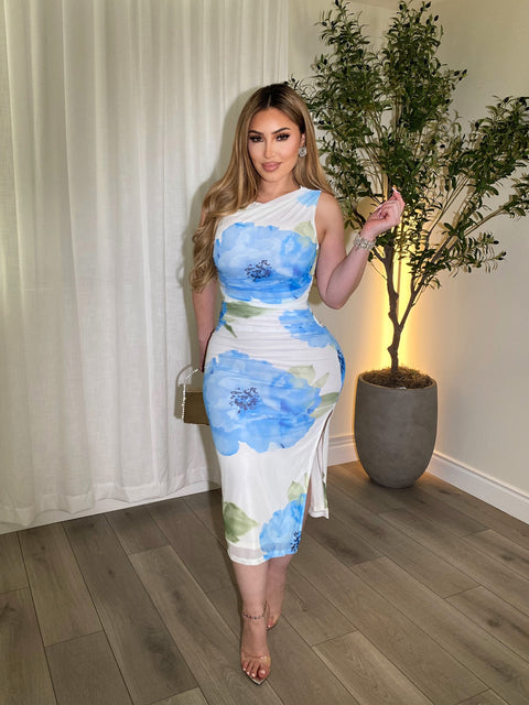 Peony Blue Ivory Dress
