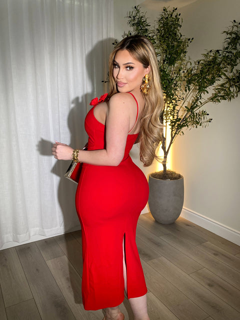 Romance Red Dress