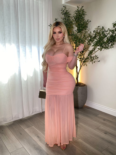 Anabella Blush Gown